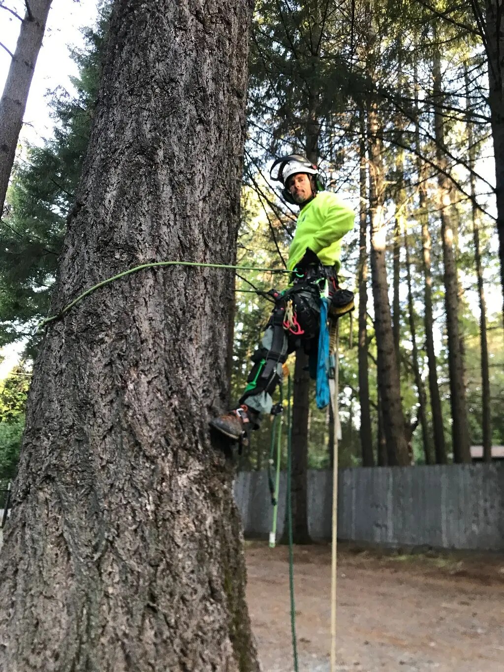 Robert Madden, founder and ISA Certified Arborist